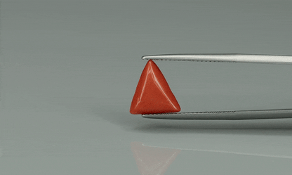Triangle Coral  - 3.3ct - KTC212384