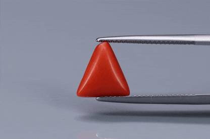 Triangle Coral  - 3.3ct - KTC214165