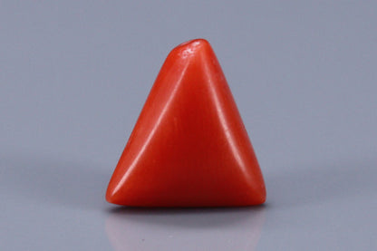 Triangle Coral  - 3.3ct - KTC214165