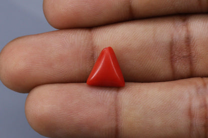 Triangle Coral  - 3.3ct - KTC214165