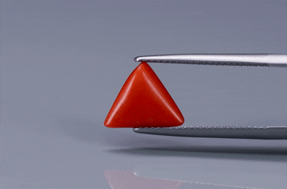 Triangle Coral  - 2.3ct - KTC214168