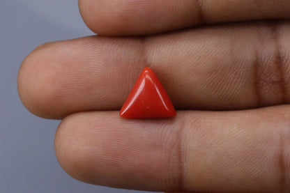 Triangle Coral  - 2.6ct - KTC214171