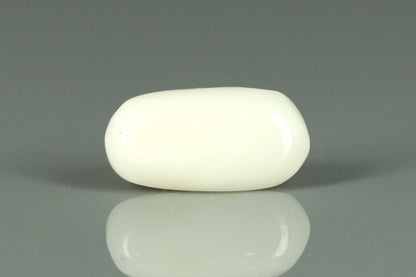 White Coral - 3.4ct - KWC211840
