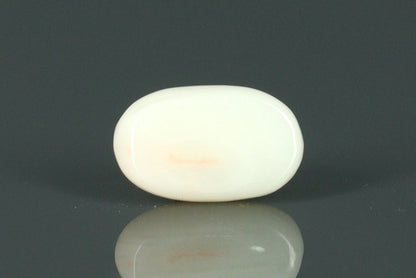 White Coral - 3.05ct - KWC211932