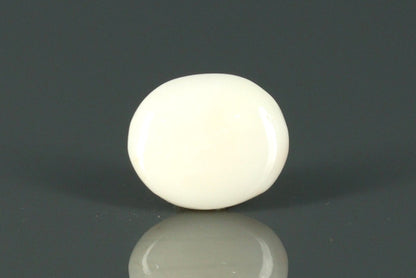 White Coral - 3.75ct - KWC211937