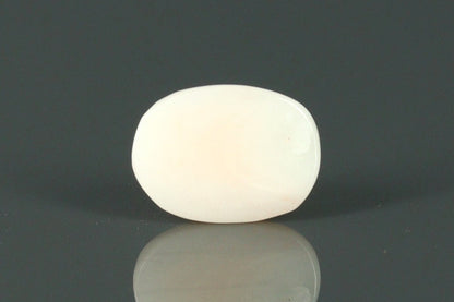 White Coral - 3.65ct - KWC211940