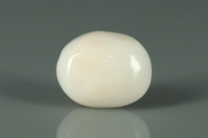 White Coral - 4.5ct - KWC212838