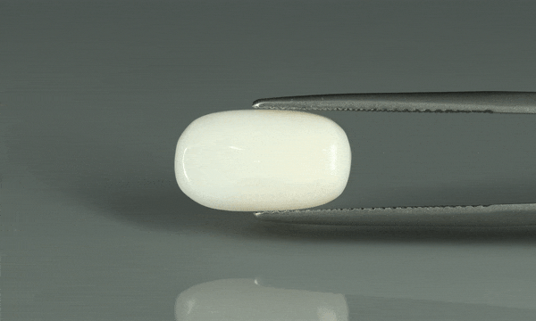 White Coral - 4.25ct - KWC212839