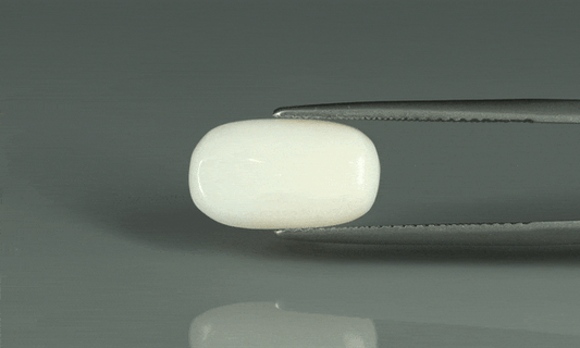 White Coral - 4.25ct - KWC212839
