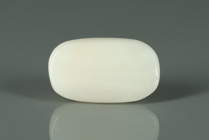 White Coral - 4.25ct - KWC212839