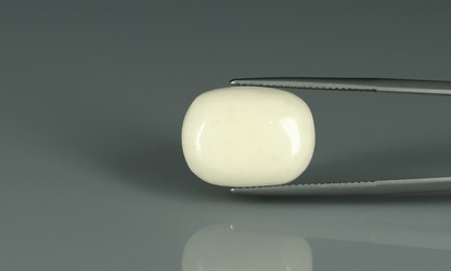 White Coral - 17.9ct - KWC213647
