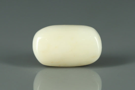 White Coral - 7ct - KWC213649