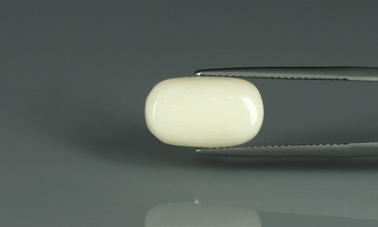 White Coral - 7.6ct - KWC213652