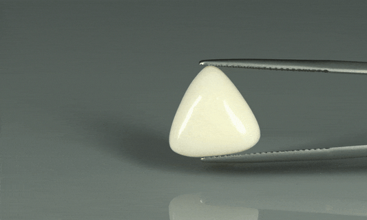 White Coral - 9.05ct - KWC213653
