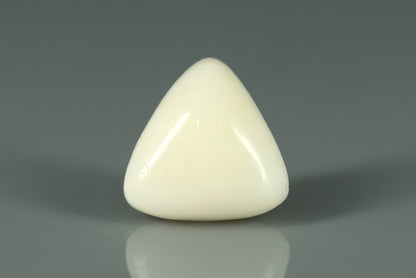 White Coral - 9.05ct - KWC213653
