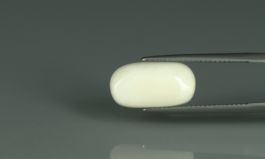 White Coral - 7.15ct - KWC213655