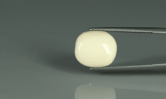 White Coral - 10.95ct - KWC213657