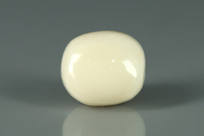 White Coral - 10.95ct - KWC213657
