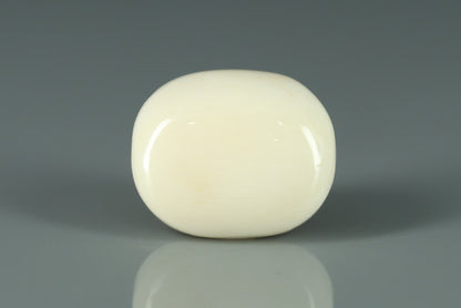 White Coral - 21.15ct - KWC213660
