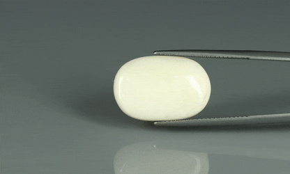 White Coral - 14.85ct - KWC213661