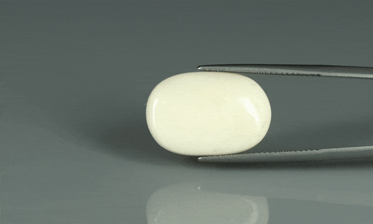 White Coral - 14.85ct - KWC213661