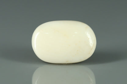 White Coral - 14.85ct - KWC213661