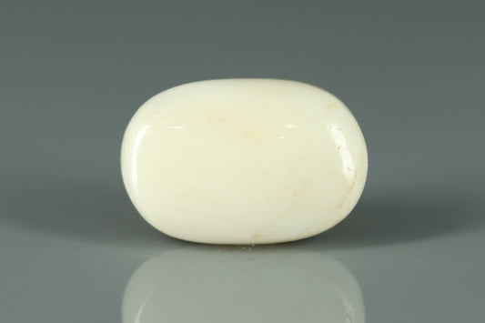 White Coral - 14.85ct - KWC213661