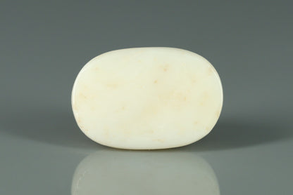 White Coral - 14.85ct - KWC213661