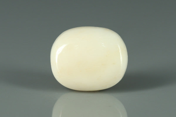 White Coral - 11.75ct - KWC213662