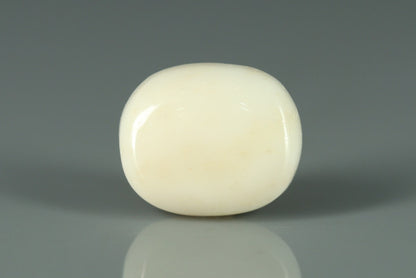White Coral - 11.75ct - KWC213662