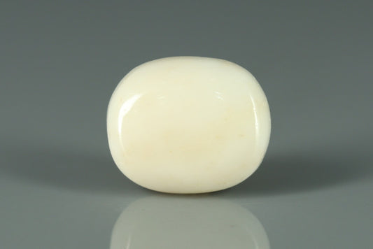 White Coral - 11.75ct - KWC213662