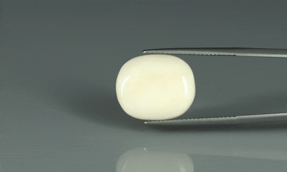 White Coral - 11.75ct - KWC213662