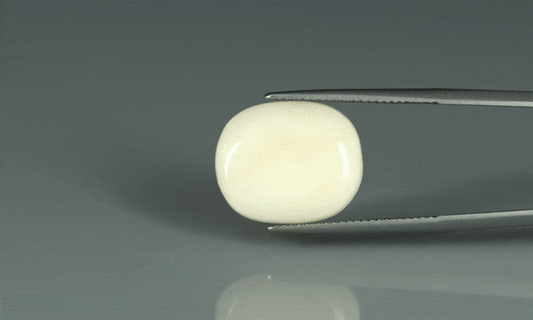White Coral - 11.75ct - KWC213662