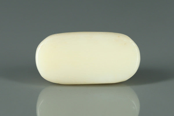 White Coral - 8.7ct - KWC213663