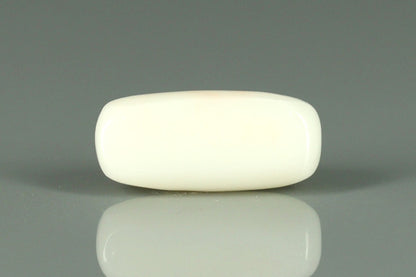 White Coral - 3.7ct - KWC312049