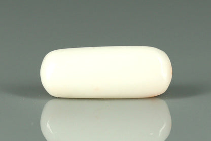 White Coral - 6ct - KWC312050