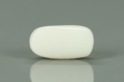 White Coral - 3.7ct - KWC312052