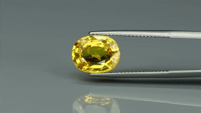 Yellow Sapphire - 4.6ct - KYS111582