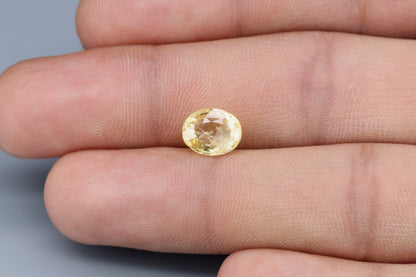 Yellow Sapphire - 3.2ct - KYS113383