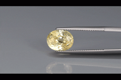Yellow Sapphire - 5.55ct - KYSP313129