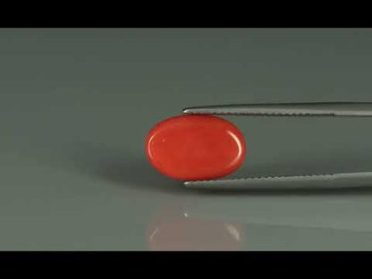 Primary video