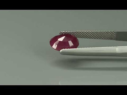Primary video