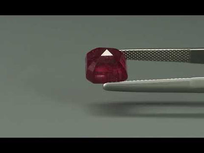 Primary video