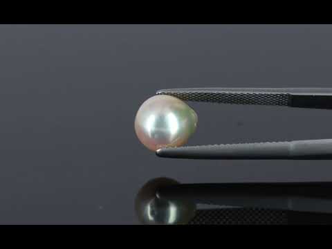 Primary video
