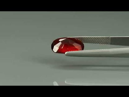 Primary video
