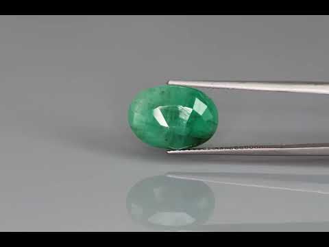 Primary video