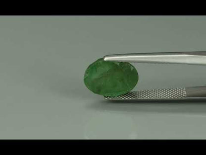 Primary video