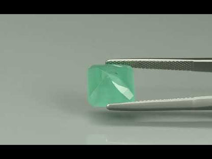 Primary video