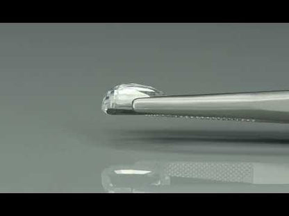 Primary video