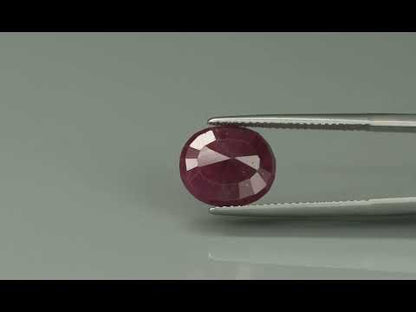Primary video